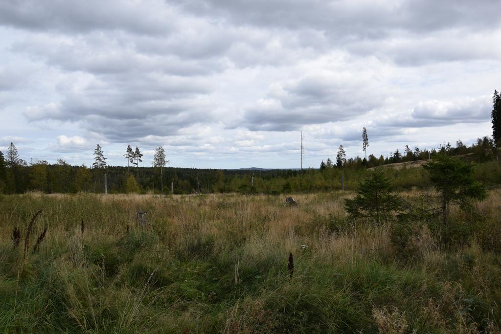 Kronobo Marieholm  エクステリア 写真